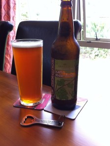 Southern Tier - Un*Earthly