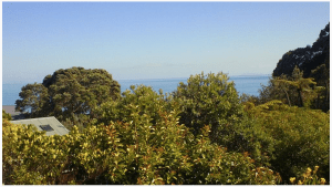 Screen Shot 2014-01-02 at 10.28.36 am