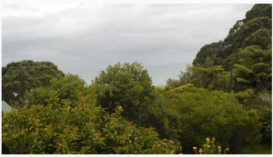 Screen Shot 2014-01-02 at 10.30.13 am