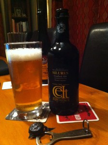 Celt Experience - Celt Silures