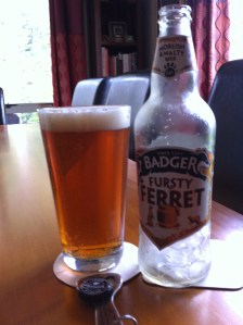 Badger Fursty Ferret