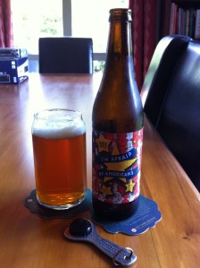 Choice Bros- I'm Afraid Of Americans