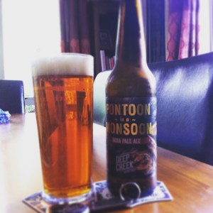 Deep Creek - Pontoon in a Monsoon