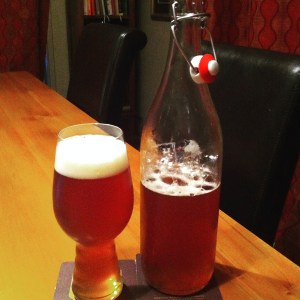 The Twisted Hop Hopback IPA