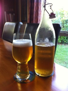 Behemoth Scar Tissue