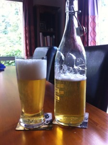 ParrotDog Pandemonium