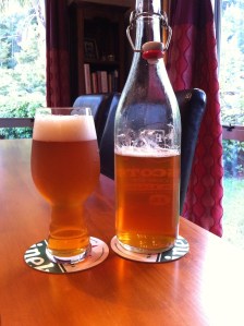 Renaissance Enlightenment Series Boom!