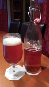 Rocky Knob Rock Lobster