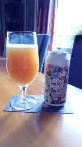 garage-project-party-and-bullshit-copy