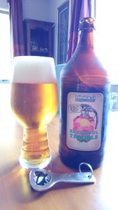 ninkasi-and-bbc-beautiful-trouble-copy