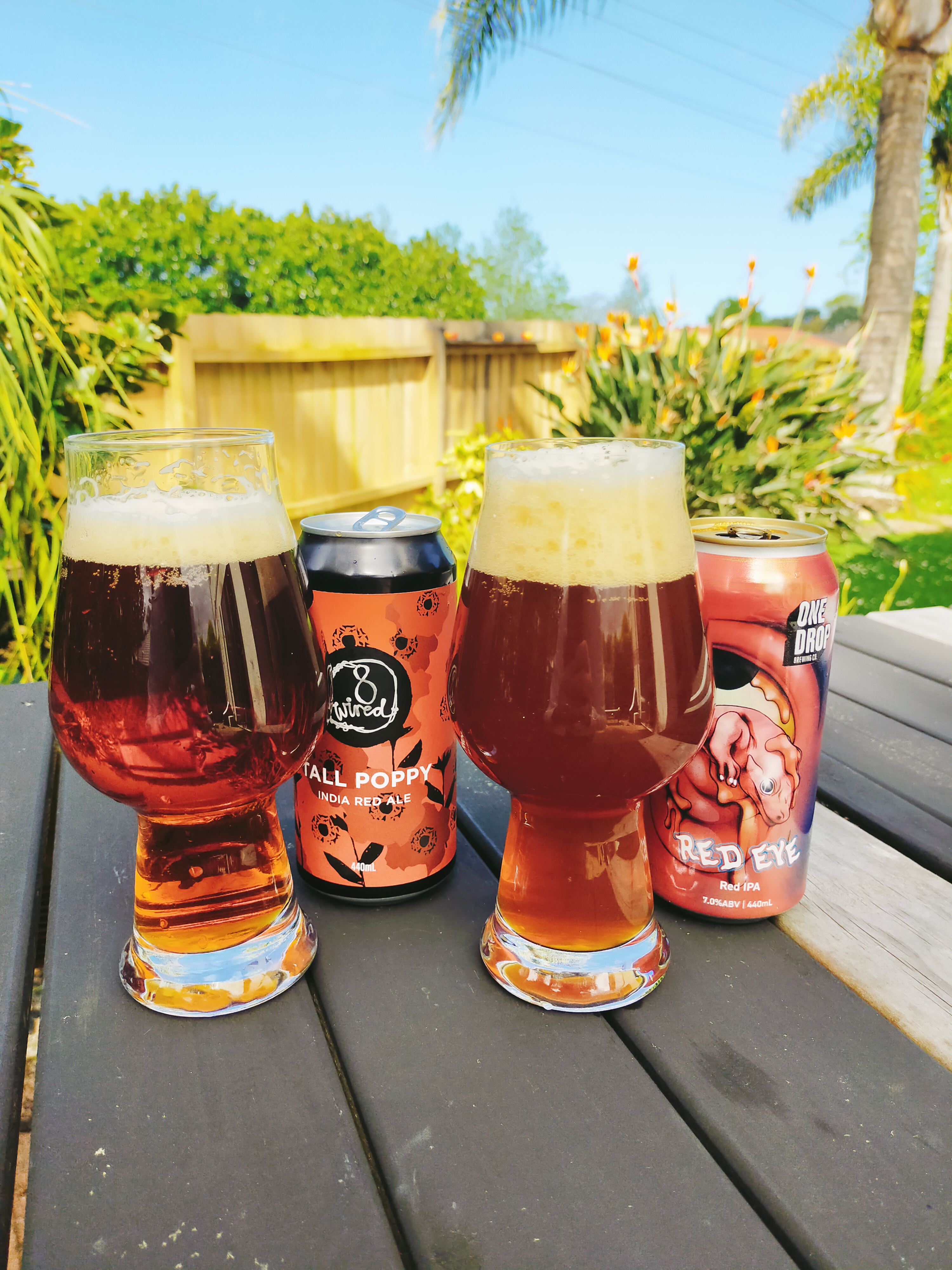 Tall Poppy v Red Eye